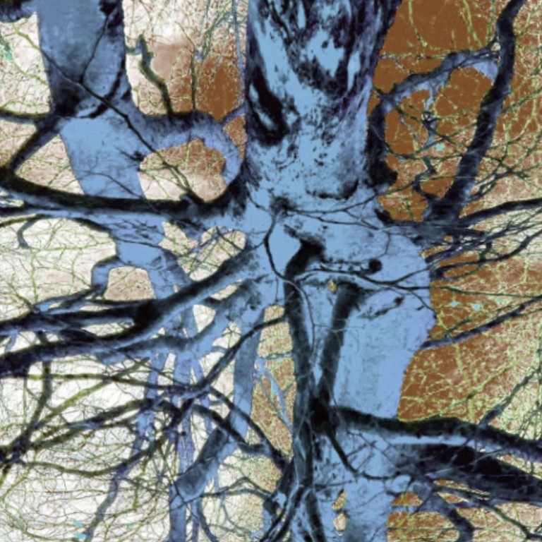 SERPENTINEBRANCHES